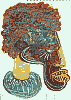 ciruja [  ] , 2357 byte(s).